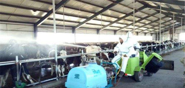 奶牛养殖小区疫病的防控措施有哪些