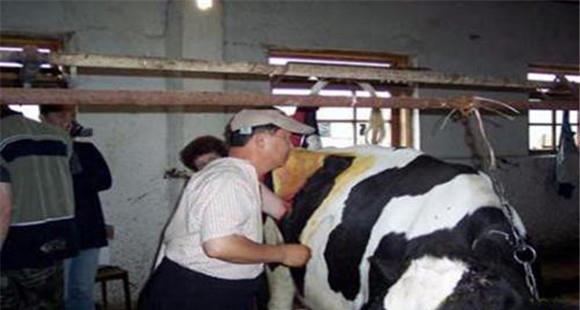 牛前胃弛缓的治疗方法