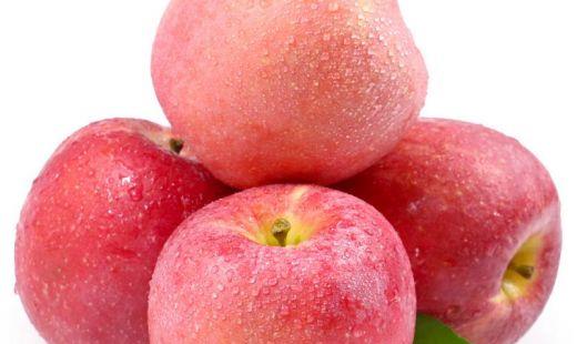 红富士苹果成熟时间?红富士苹果多少钱一斤?