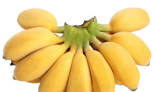 米蕉和香蕉哪个好减肥?米蕉是凉性的吗?
