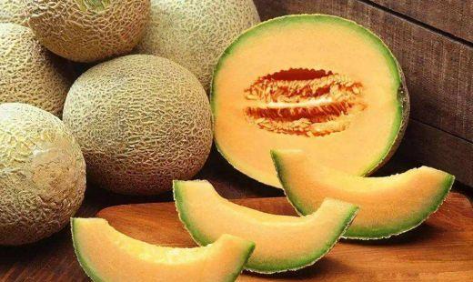 哈密瓜的热量高还是西瓜的热量高?哈密瓜没有吃完可以放冰箱吗?