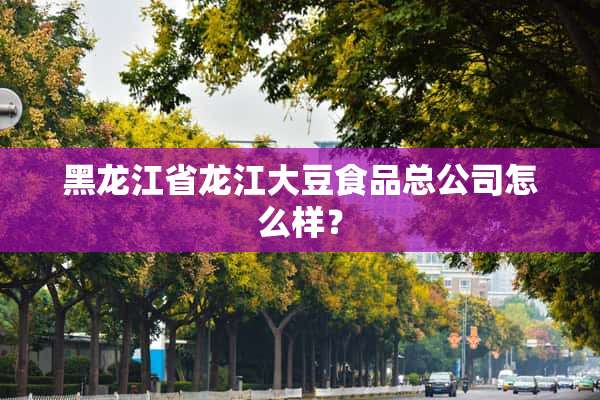 黑龙江省龙江大豆食品总公司怎么样？