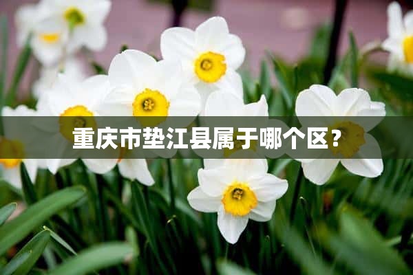 重庆市垫江县属于哪个区？