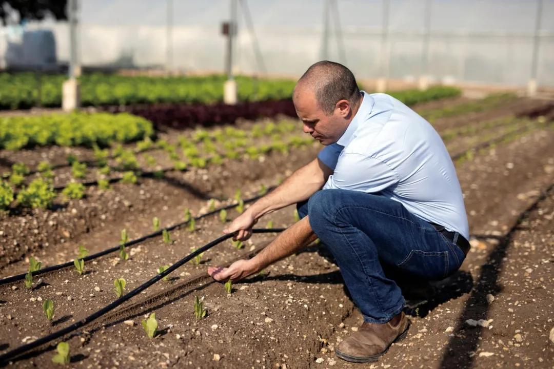 以色列规模种植技术(以色列沙培种植技术)