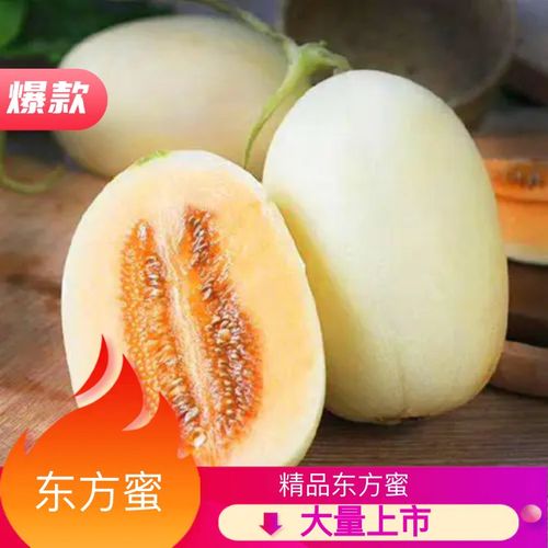 东方蜜1号甜瓜种植技术(东方蜜甜瓜怎么吃削皮吗)