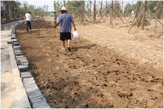 绿化种植前土壤改良的措施