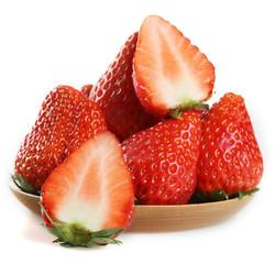 四川草莓是什么品种