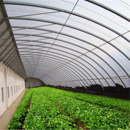 日光温室蔬菜育苗技术
