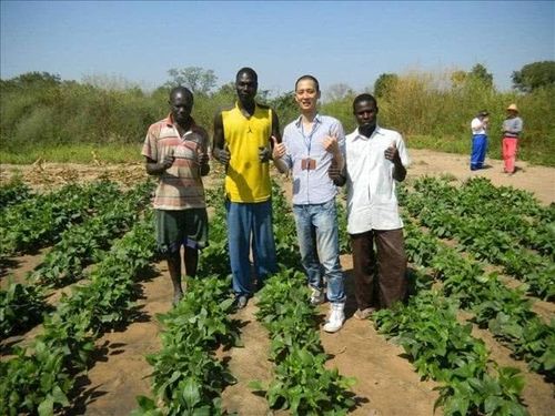 小伙将蔬菜种植技术带给非洲人(中国小伙非洲骑行回国)