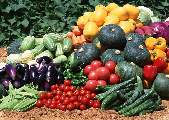 蔬菜水果种植技术(成都蔬菜水果种植)